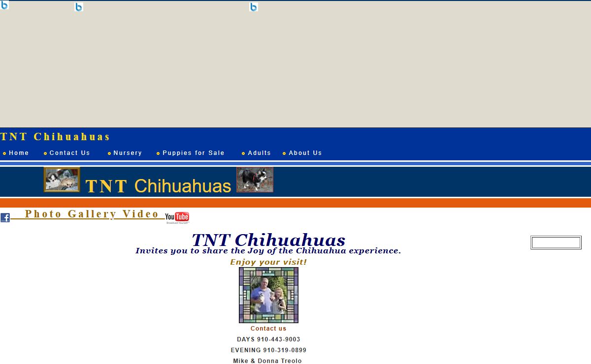 Chihuahua Longcoat Smoothcoat TNT
