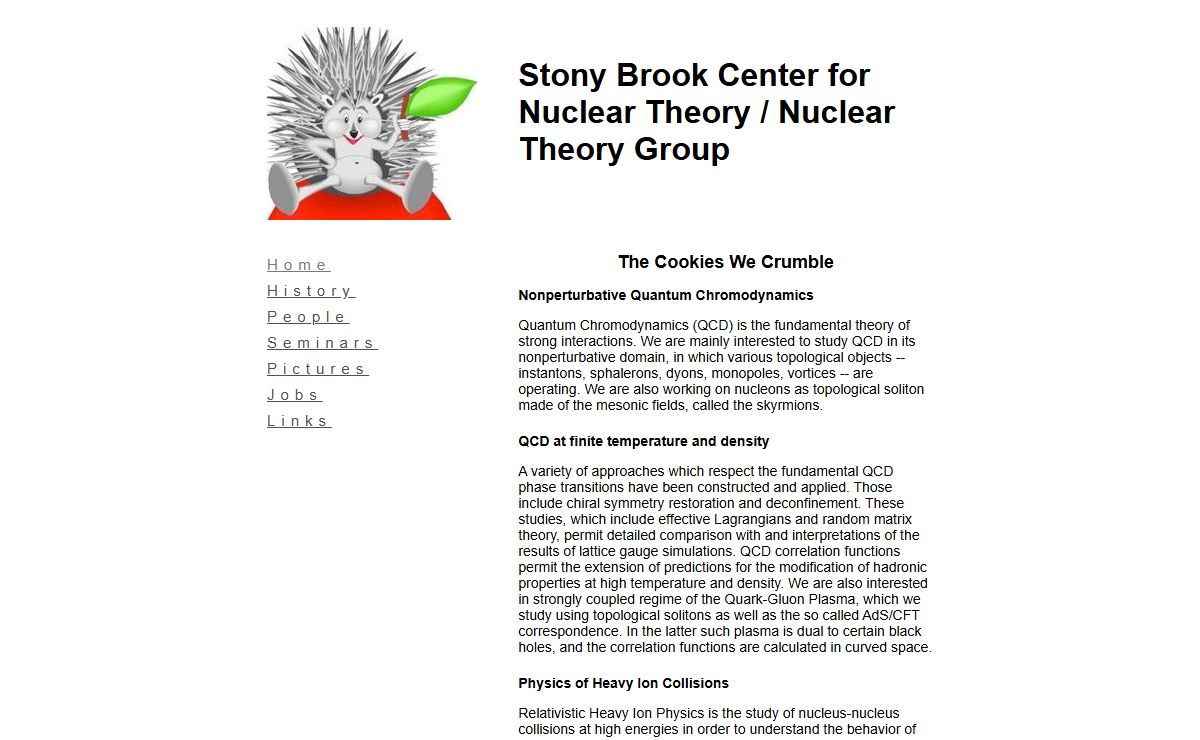 Stony Brook Center for Nuclear Theory / Nuclear Theory Group