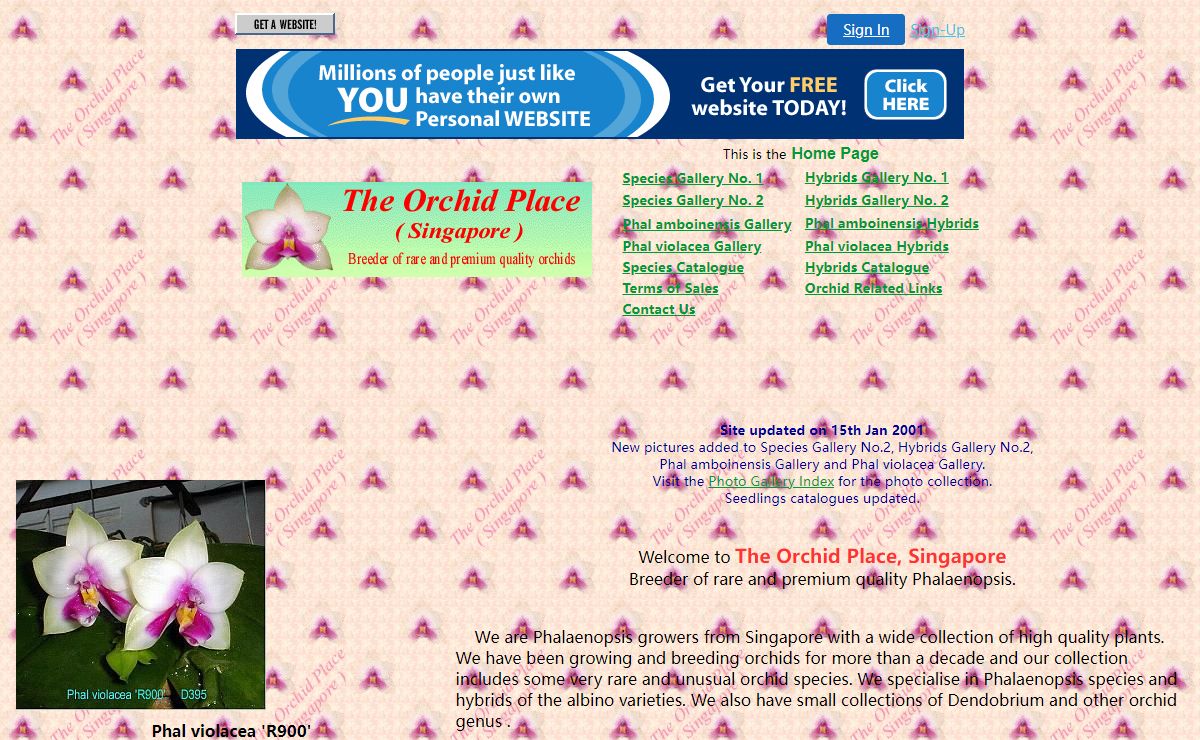 The Orchid Place Singapore Homepage - Breeder of rare and premium orchids specialise in Phalaenopsis species and hybrids