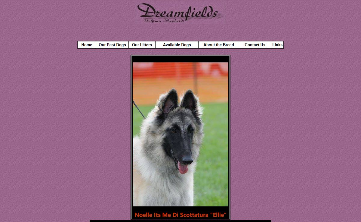 Dreamfields Belgian Shepherds Tervuren 2024