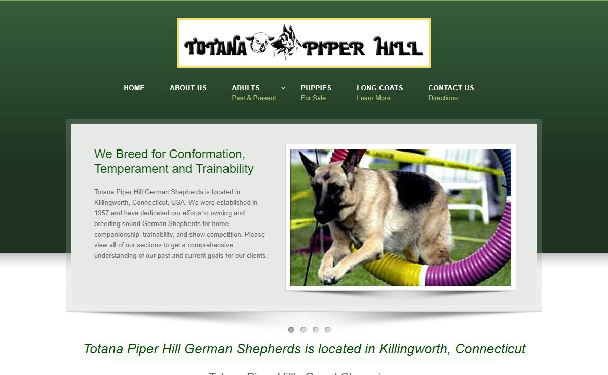 German Shepherd Puppies for sale, New England