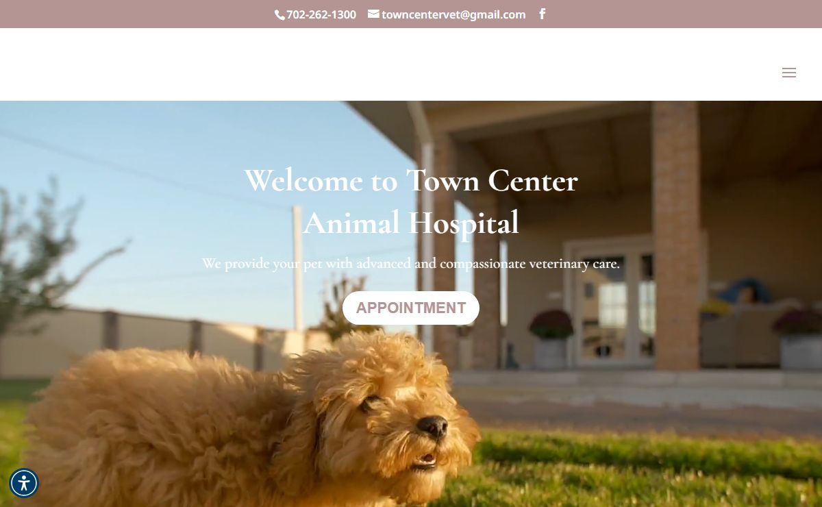 Best Vet Hospital In Las Vegas, NV | Town Center Animal