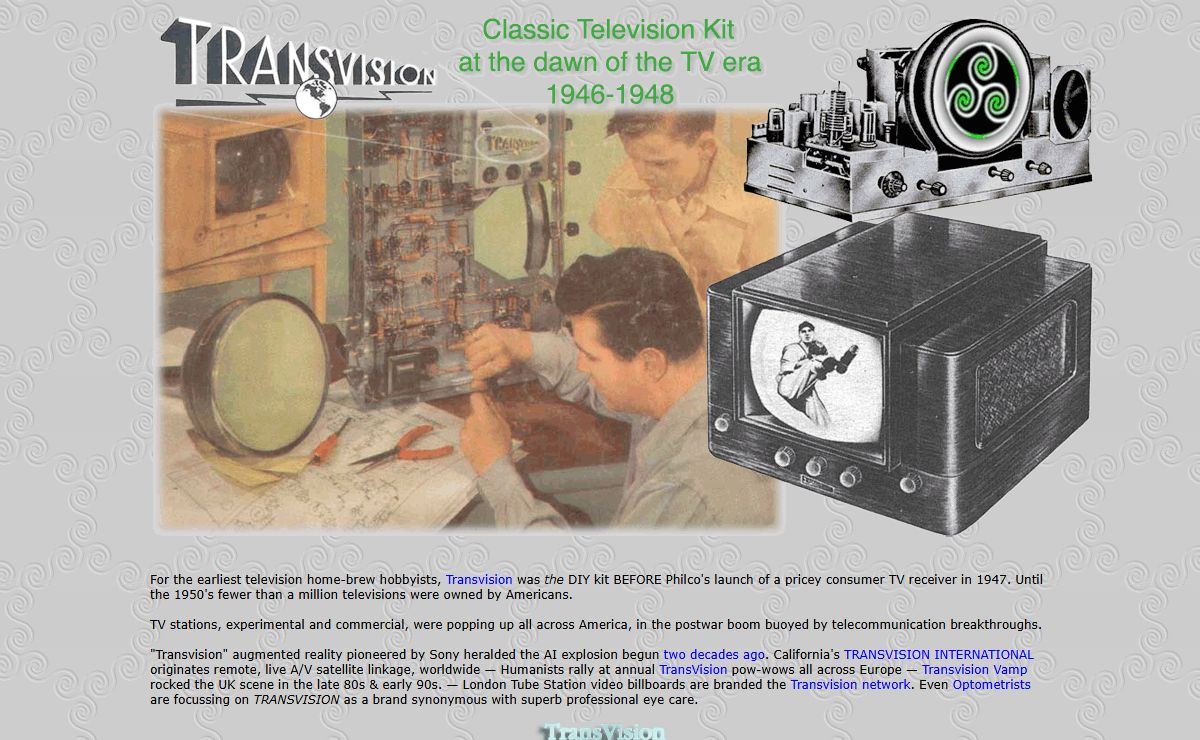 transvision.com could be yours