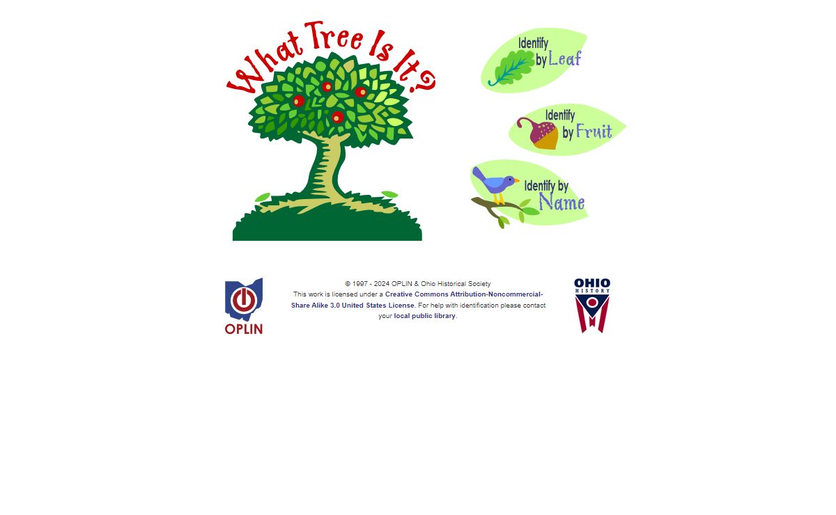 What Tree Is It? - OPLIN