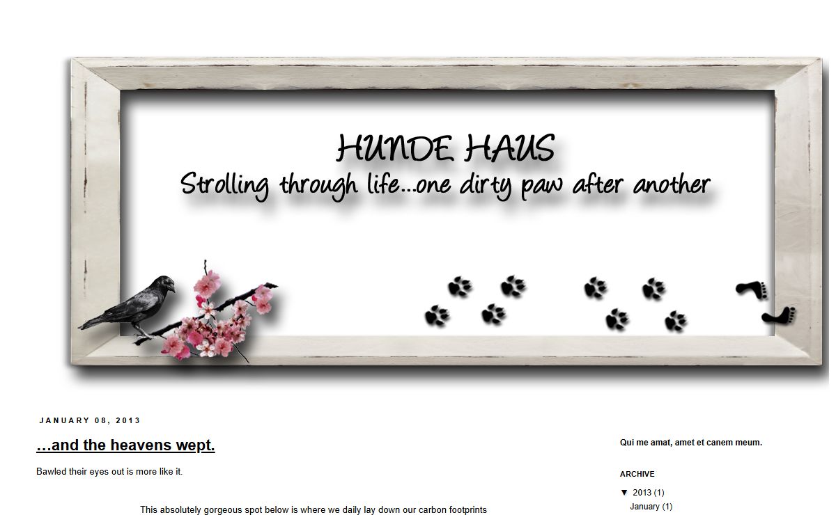 Hunde Haus