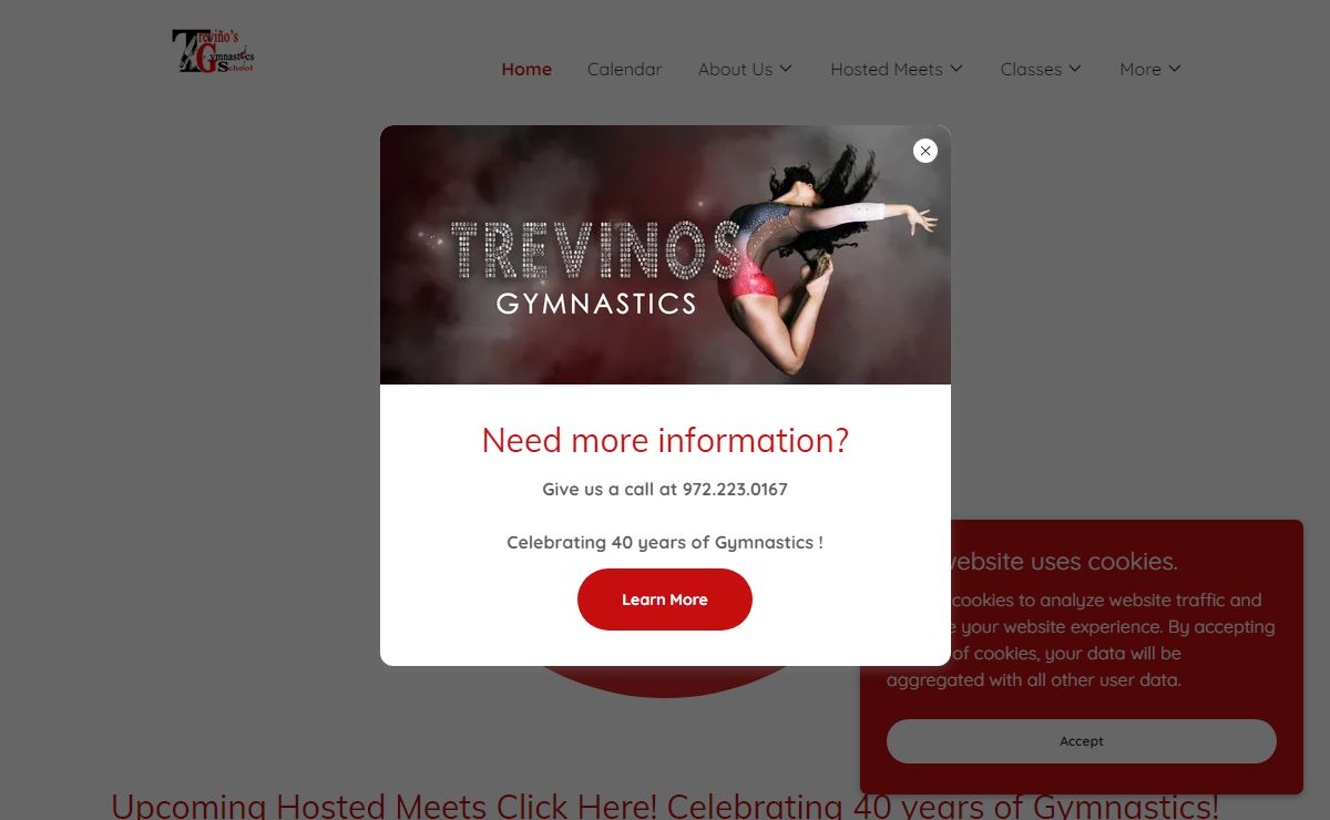 Trevino's Gymnastics School