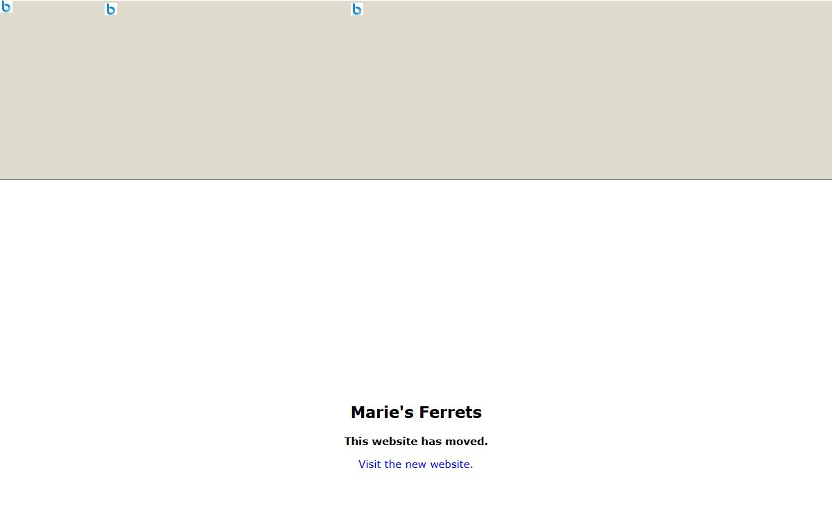 Marie's Ferrets