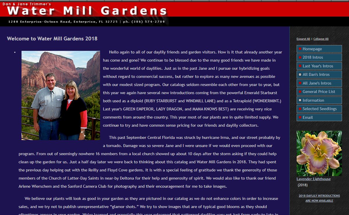 WATER MILL GARDENS... the daylilies of Dan & Jane Trimmer
