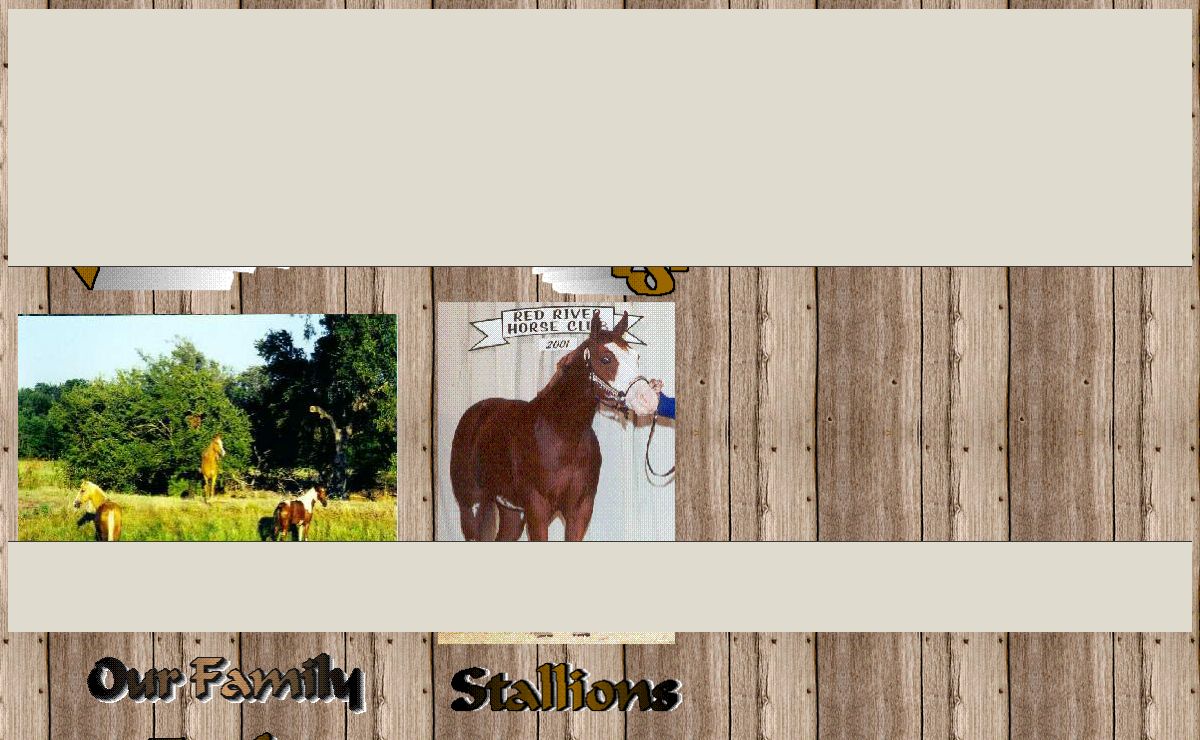 Triple W Paint Horses, show horses for sale,paint horses for sale,quarter horses for sale