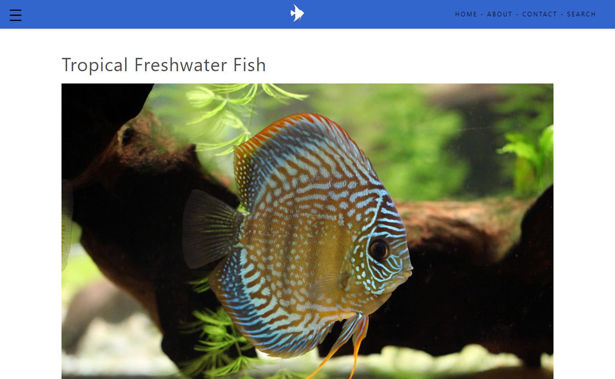 Tropical Freshwater Aquarium Fish