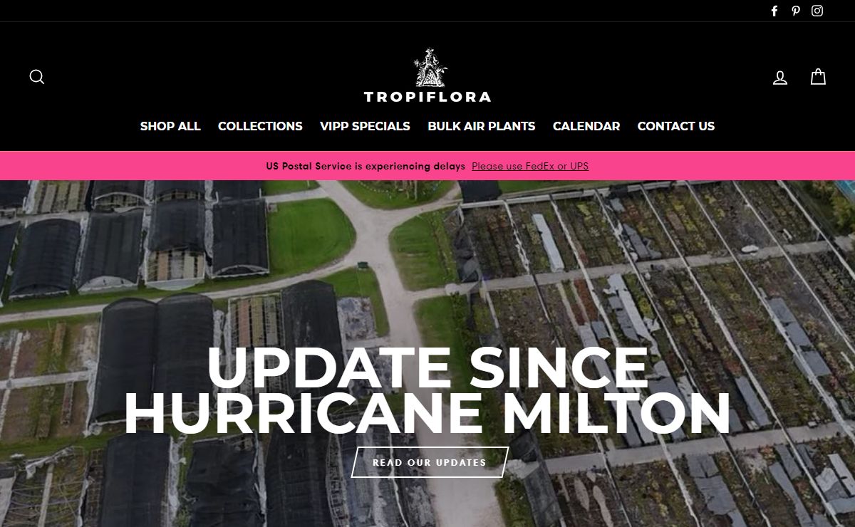 Tropiflora - Bromeliads, Air Plant (Tillandsias) & exotic plants!
