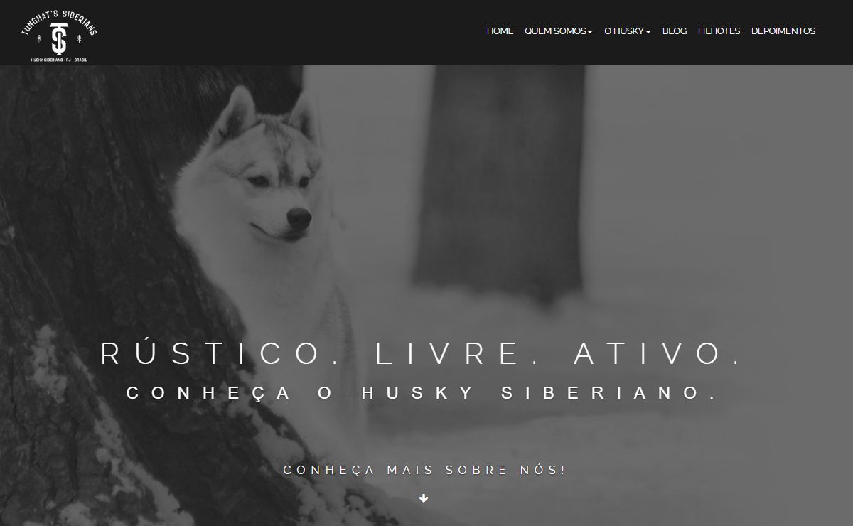 Tunghat's Siberians | Há 30 anos criando Husky Siberianos com amor. |