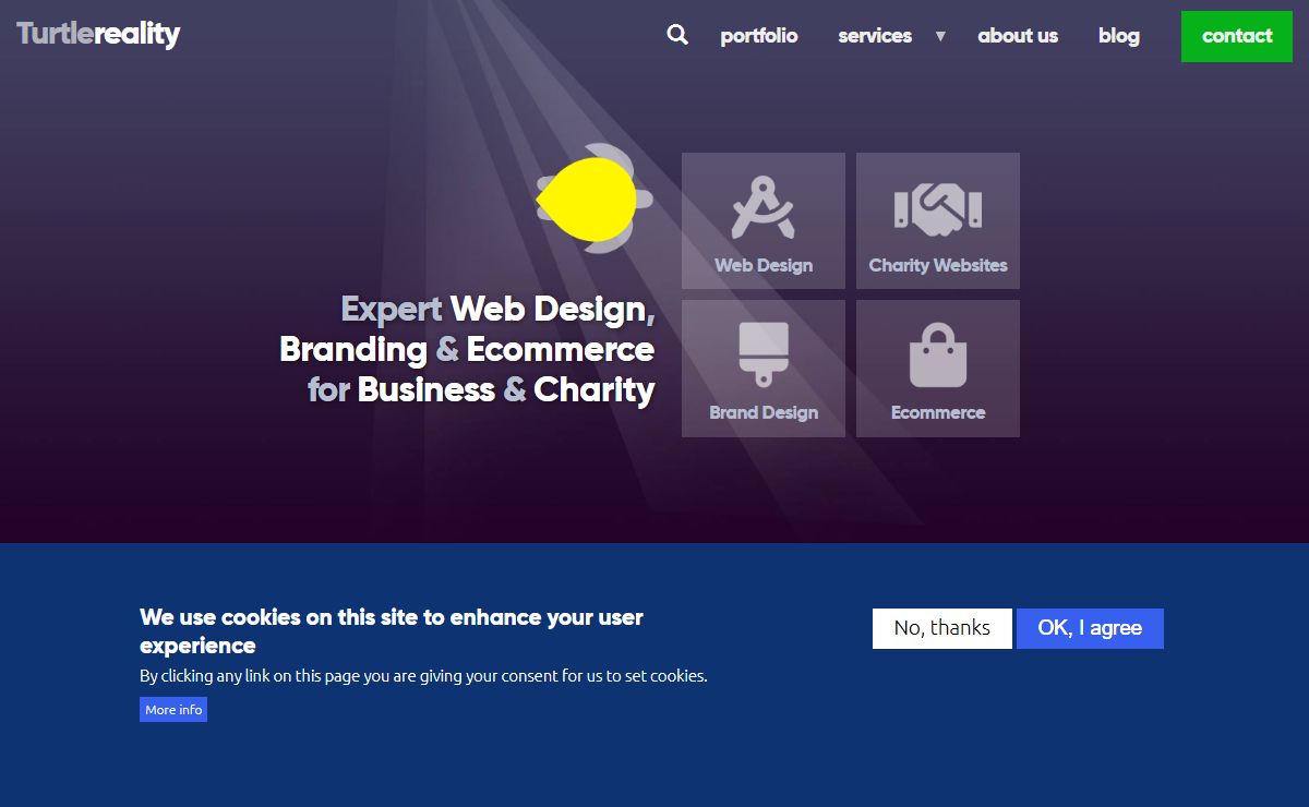 Drupal Web Design, Web Design Salisbury | Turtle Reality