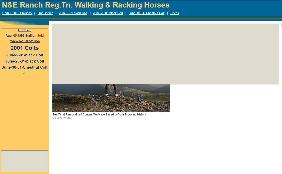 NE Ranch Reg.Tn. Walking Racking Horses