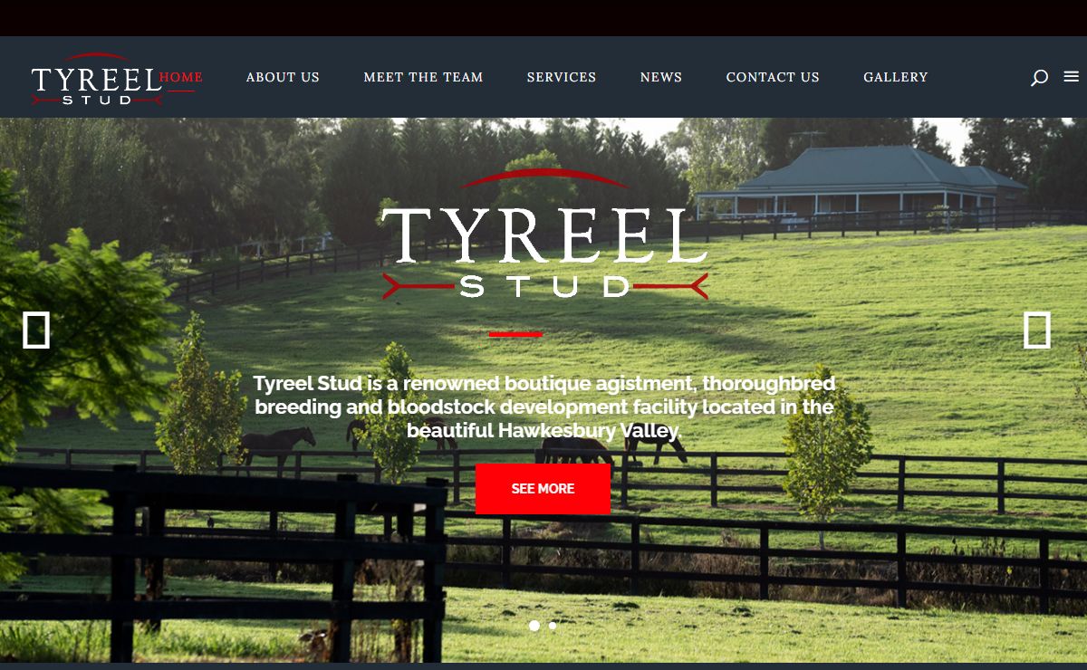 Tyreel Stud – Tyreel Stud is a renowned boutique agistment, thoroughbred breeding and bloodstock development facility located in the beautiful Hawkesbury Valley.