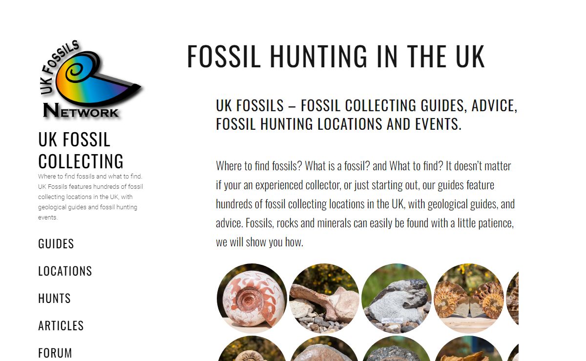 UK Fossil Collecting – Where to find fossils and what to find. UK Fossils features hundreds of fossil collecting locations in the UK, with geological guides and fossil hunting events.