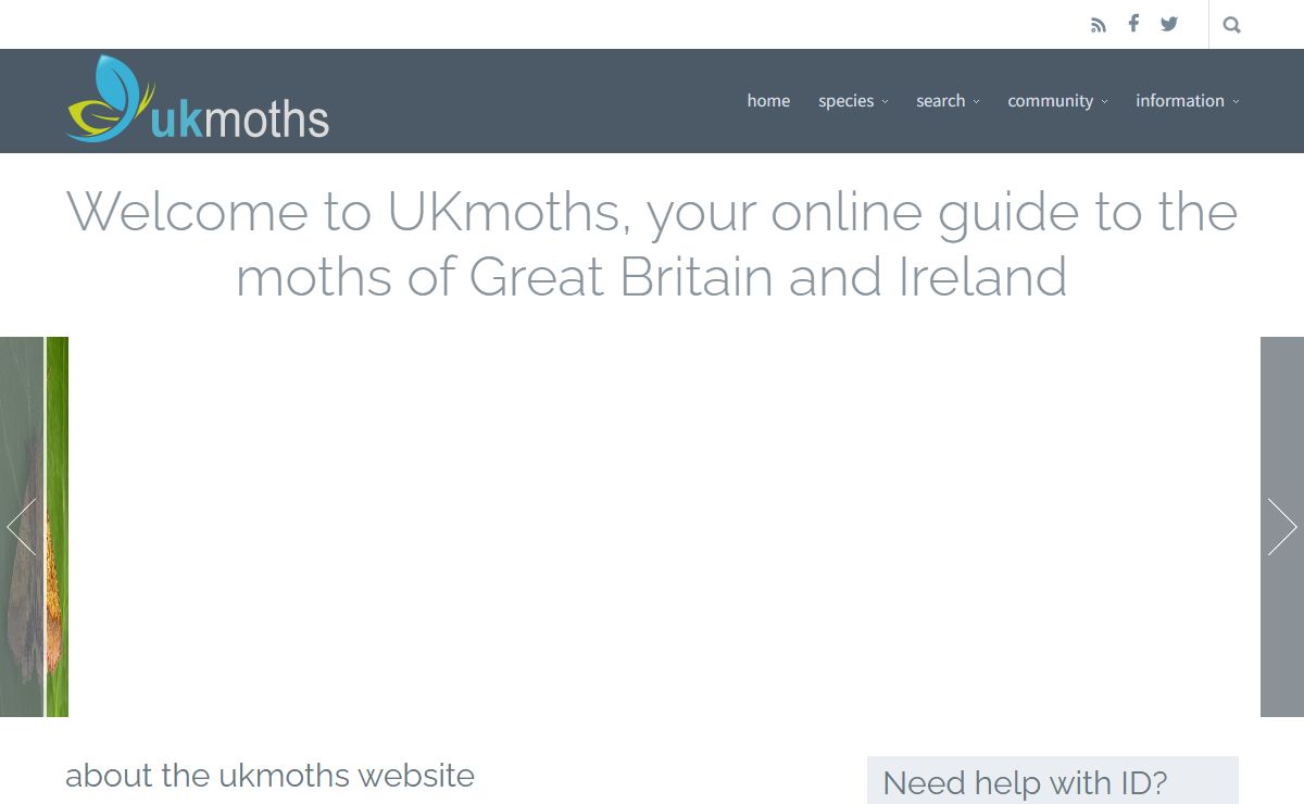 UKMoths | Guide to the moths of Great Britain and Ireland