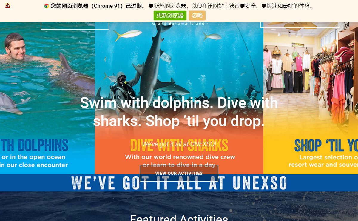 Bahamas Scuba Diving & Interactive Dolphin Activities 