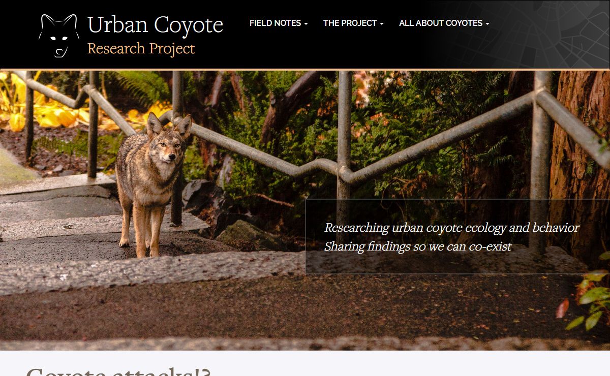 Urban Coyote Research Project