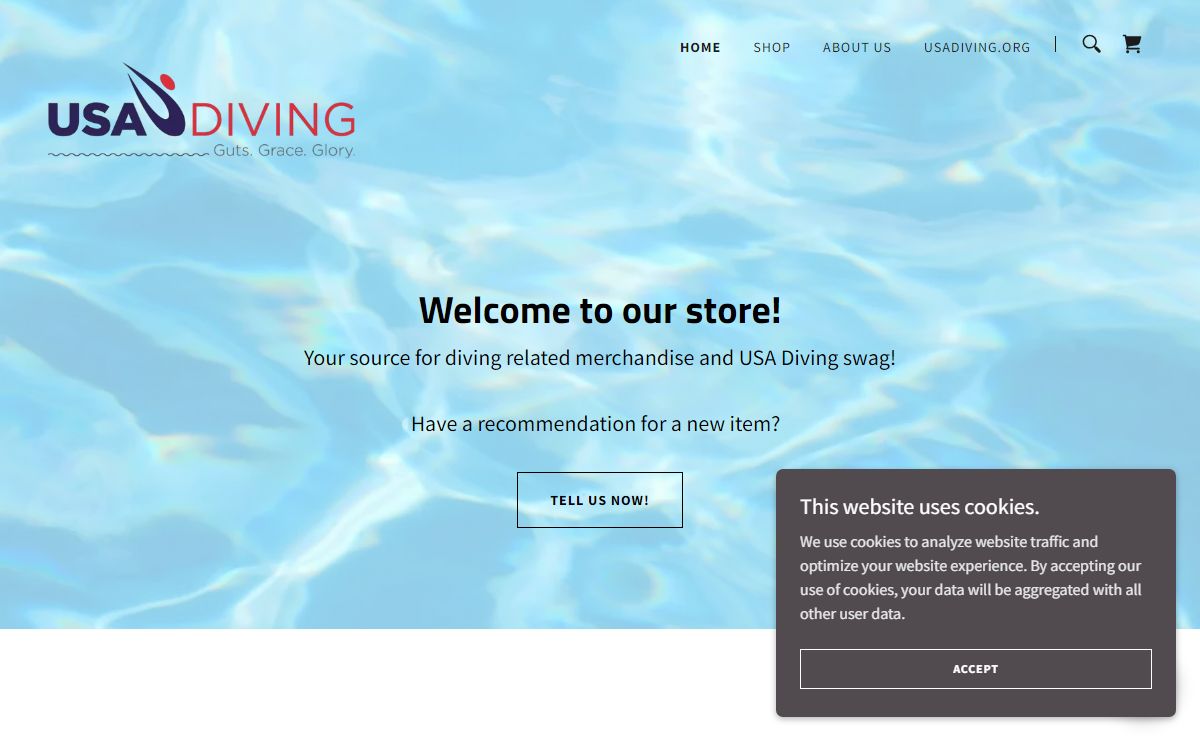 USA Diving store