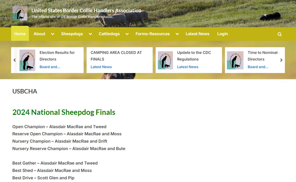 United States Border Collie Handlers Association – The official site of US Border Collie Handlers Assoc.