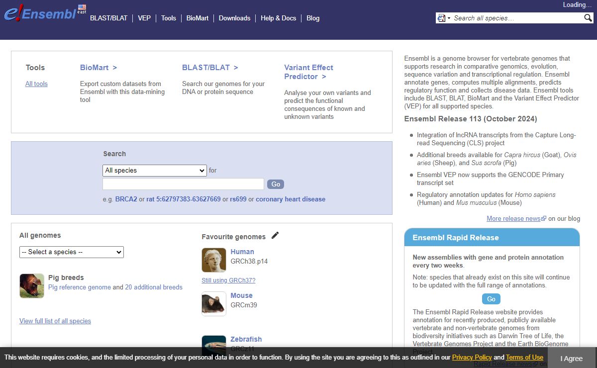 Ensembl genome browser 113