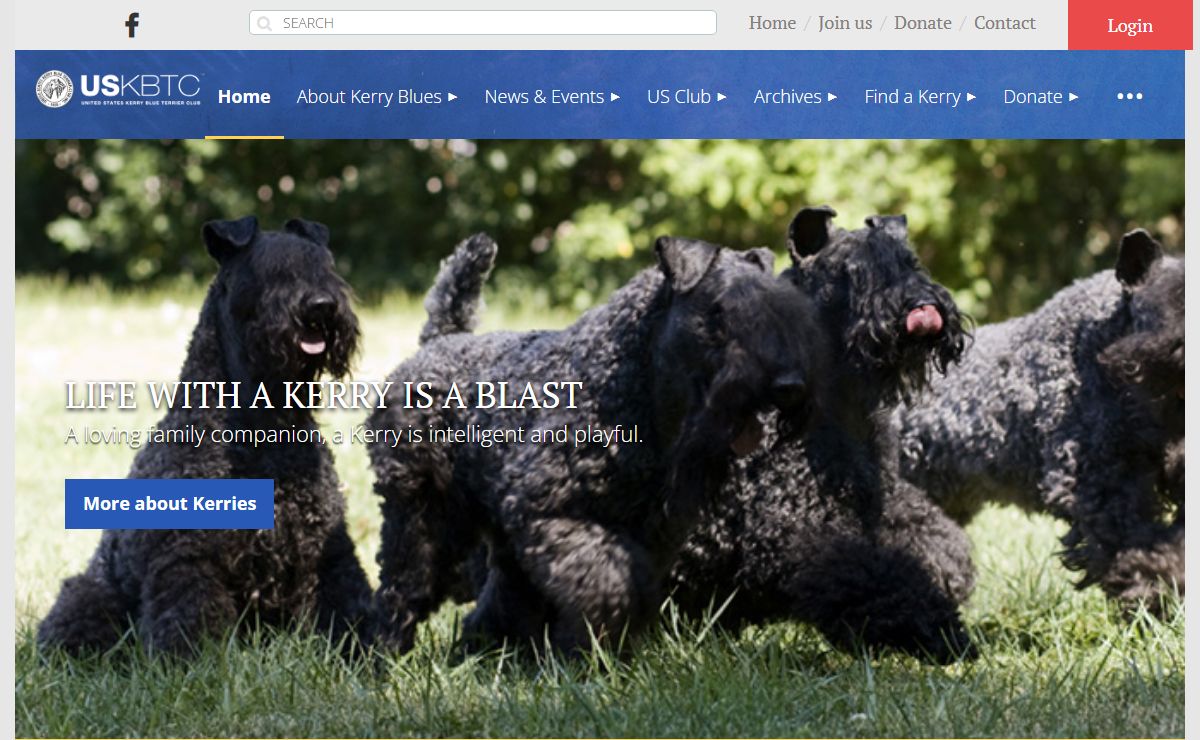 United States Kerry Blue Terrier Club, Inc. - Home