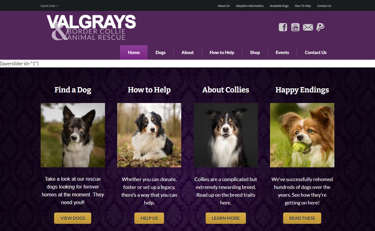 Home Page - Valgrays Border Collie & Animal Rescue