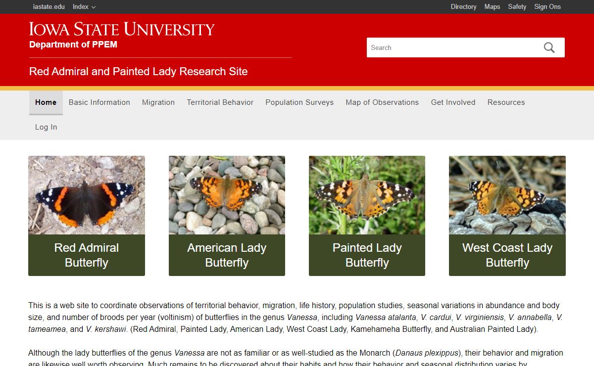 Red Admiral and Painted Lady Research Site
