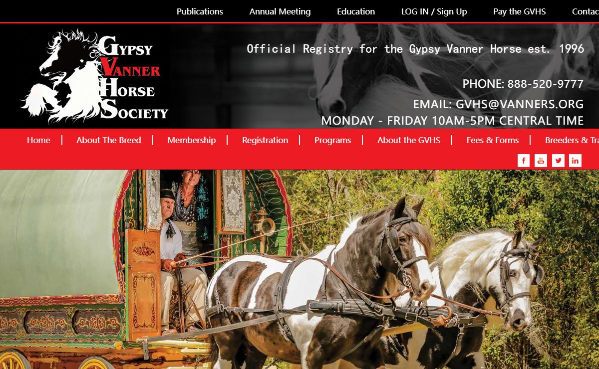 Gypsy Vanner Horse Society | Official Registry