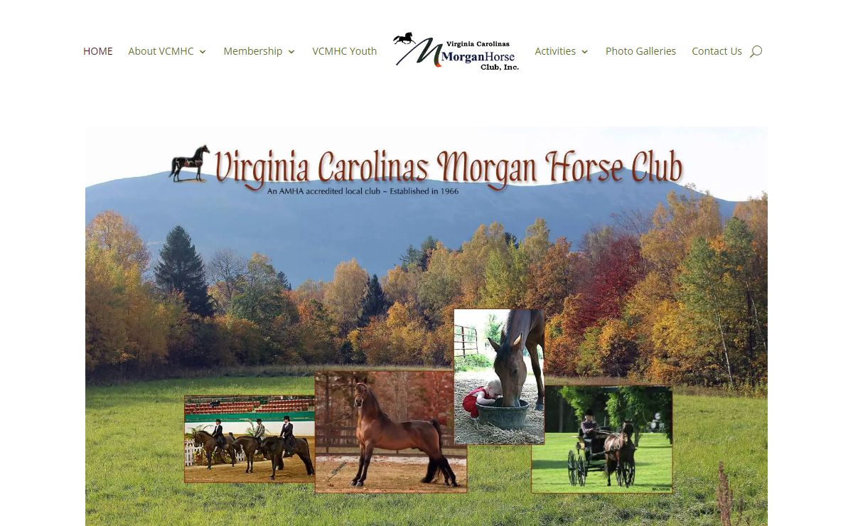 Welcome... | Bringing Morgan horses together in the Carolinas and Virginia