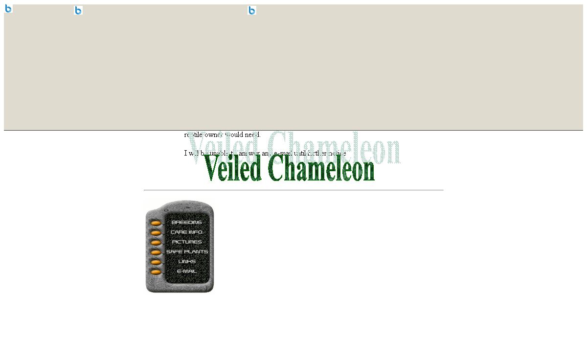 Veiled Chameleons