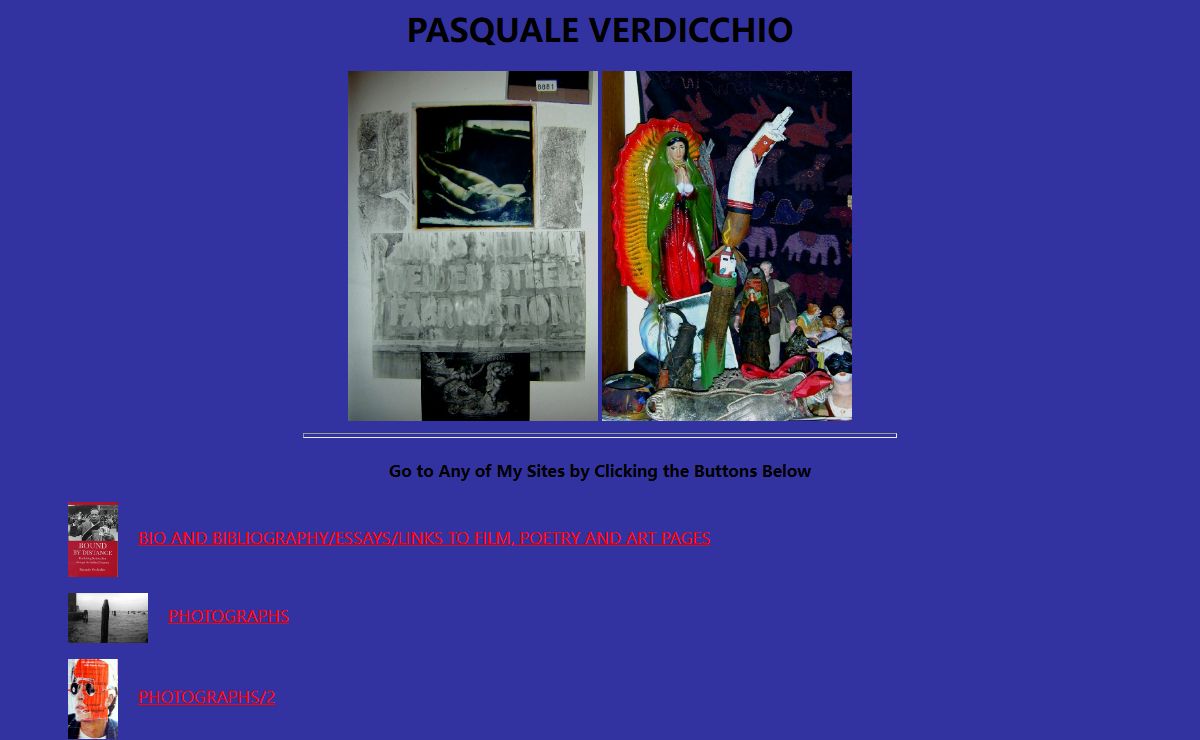 PASQUALE VERDICCHIO:LIGHTZOO