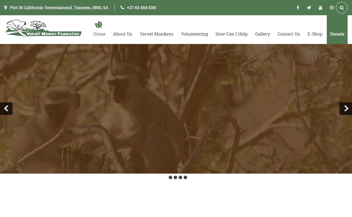 Vervet Monkey Foundation
