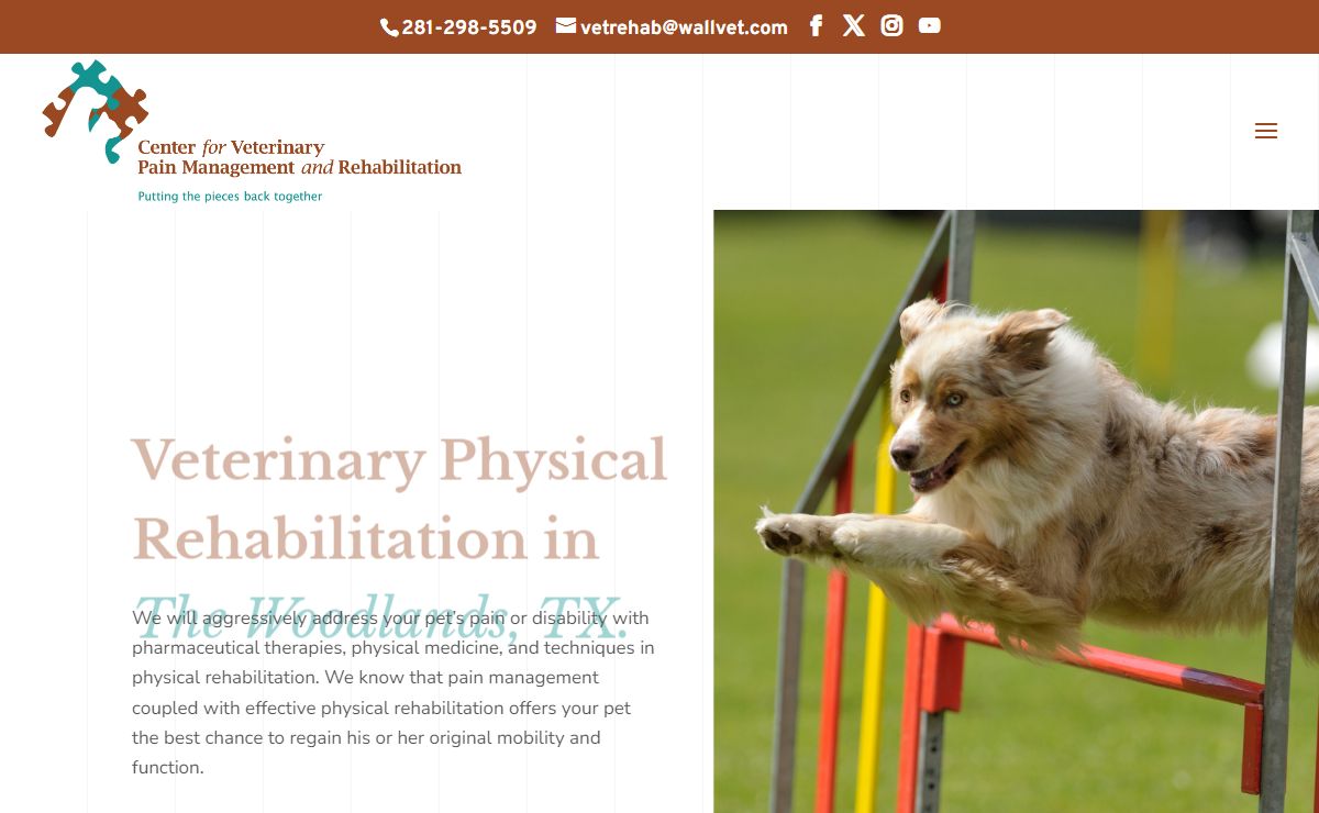 Best Veterinary Rehabilitation In The Woodlands, TX