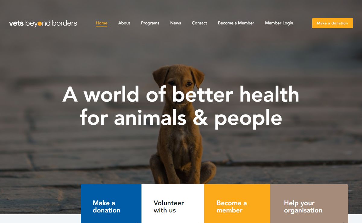 Vets Beyond Borders - International Animal Charity In Australia