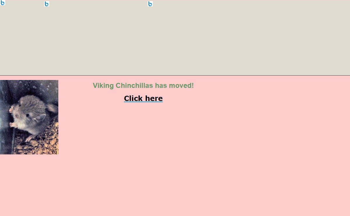 Viking Chinchillas has moved!