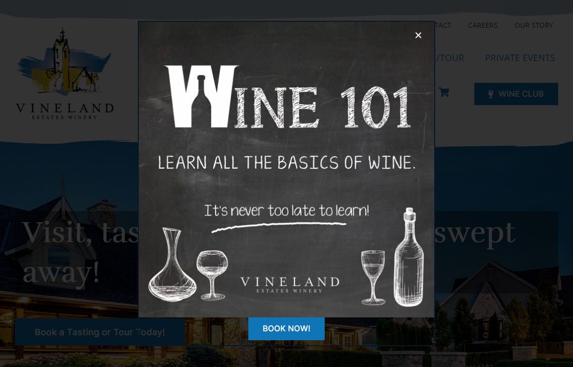 Vineland Estates Winery -
