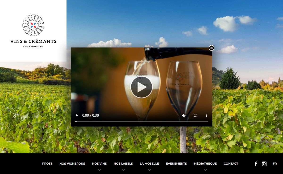 Fonds de Solidarité Viticole p.a. Institut Viti-Vinicole