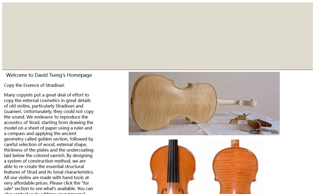David Tseng Violin