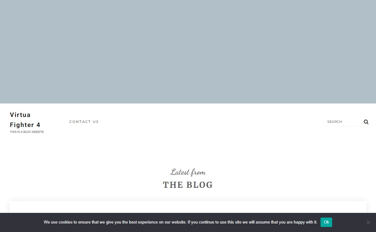 Virtua Fighter 4 - This is a blog website