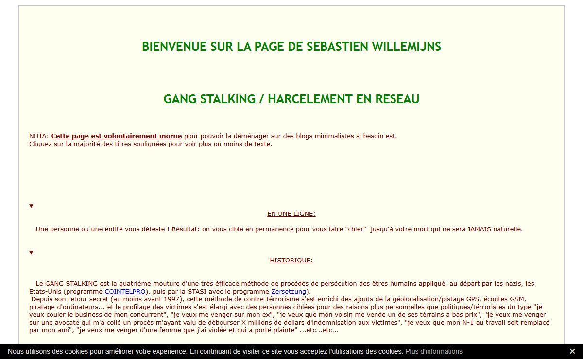 GANG STALKING / HARCELEMENT EN RESEAU