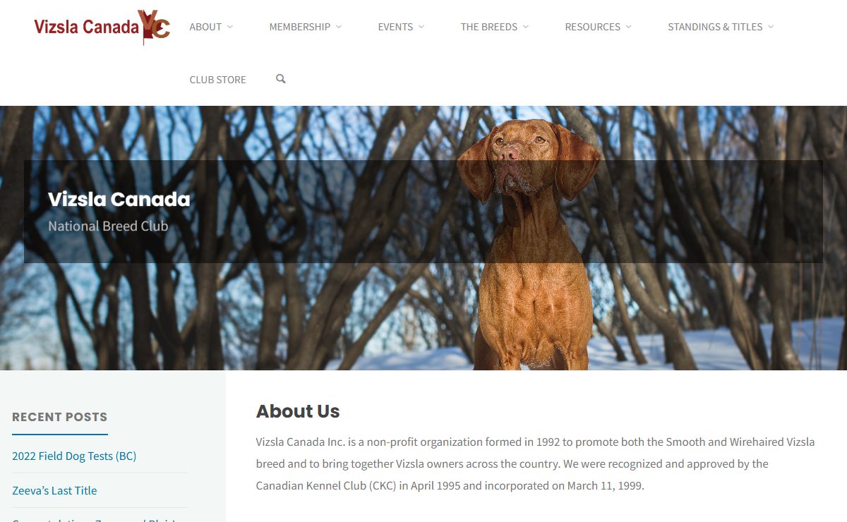 Vizsla Canada – National Breed Club