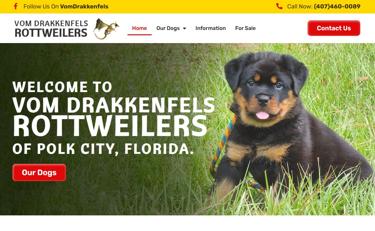 Vom Drakkenfels Rottweilers