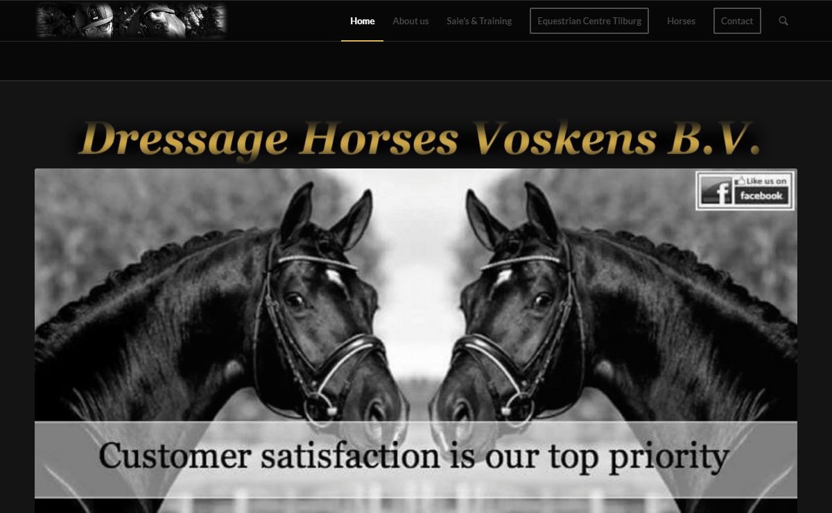 Dressage Horses Voskens – Sale's & Training Stable Dressage Horses Voskens
