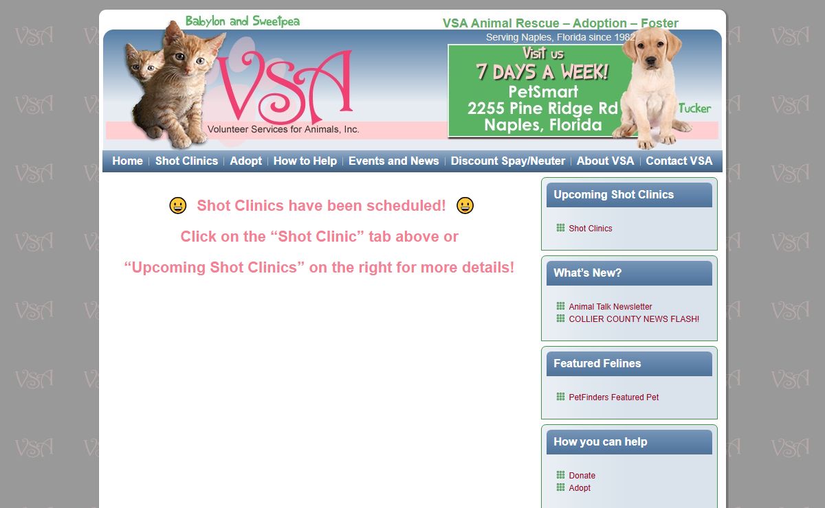 Pet Adoption in Naples Florida - Animal Rescue, Cat Fostering Volunteer Services for Animals, VSA