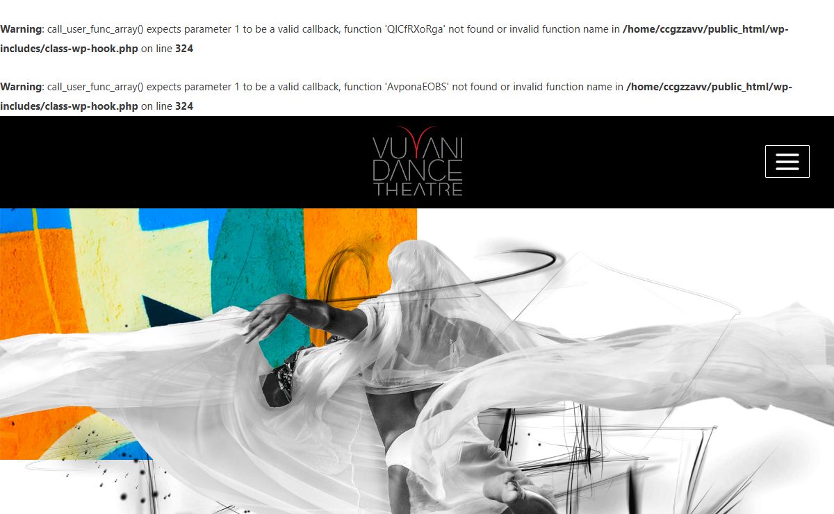 Vuyani Dance Company – Contemporary African Dance Company