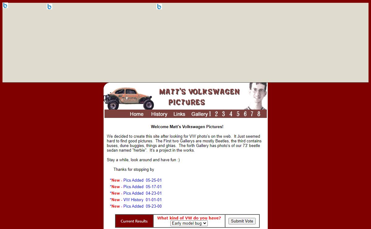Matt's Volkswagen Beetle Pictures