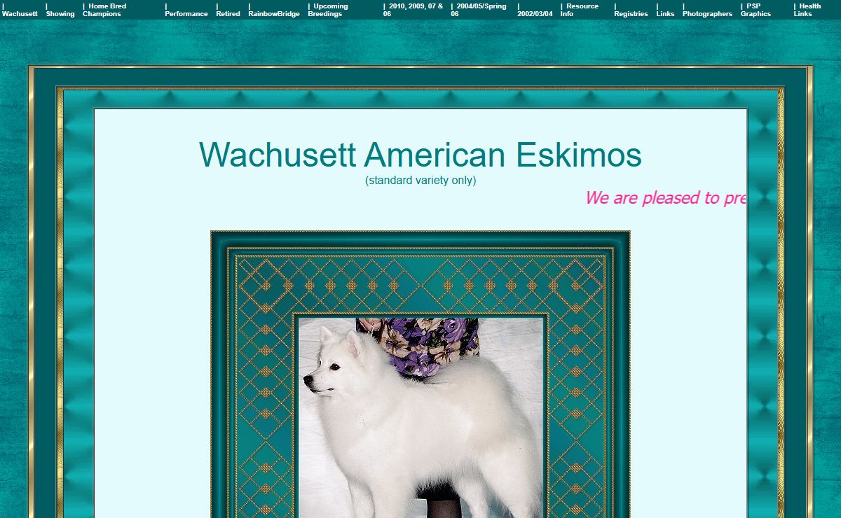 American Eskimo Dog Breeder - Wachusett American Eskimos - Massachusetts