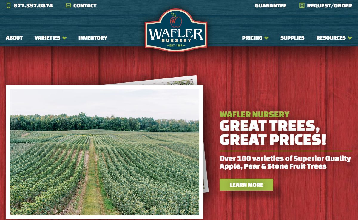 Wafler Nursery Apple & Pear Trees | Cider, Antique, Scab Resistant, & Crab Apple Pollinizers